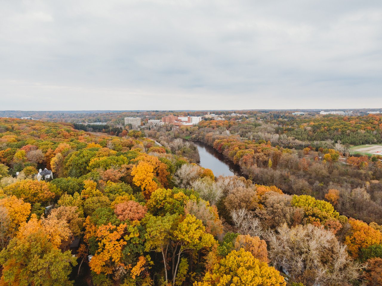 Trees show fall color in Michigan