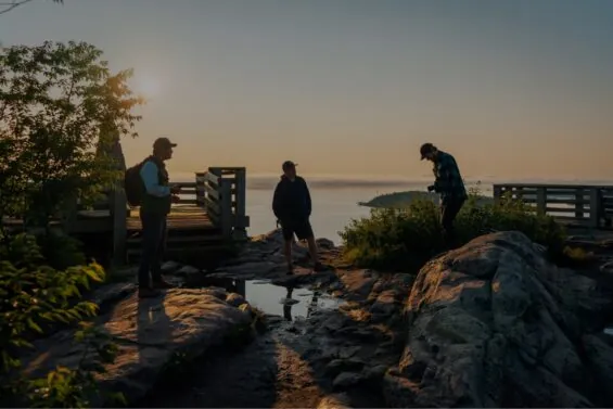 Group at beach during sunset