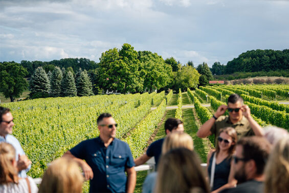 People gathered at a vineyard in Northern Michigan
