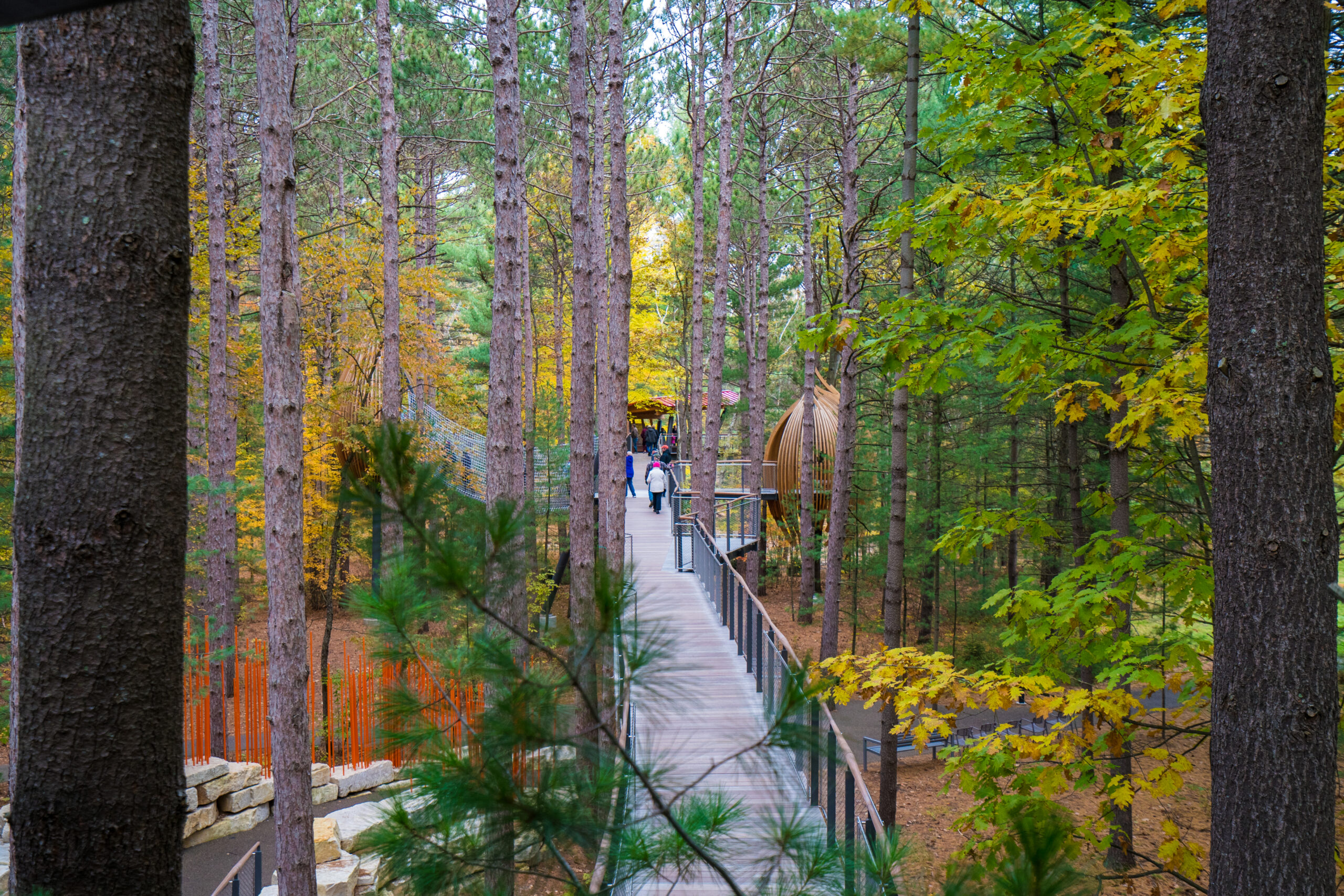 Canopy walk at the Dow Gardens in Midland, MI