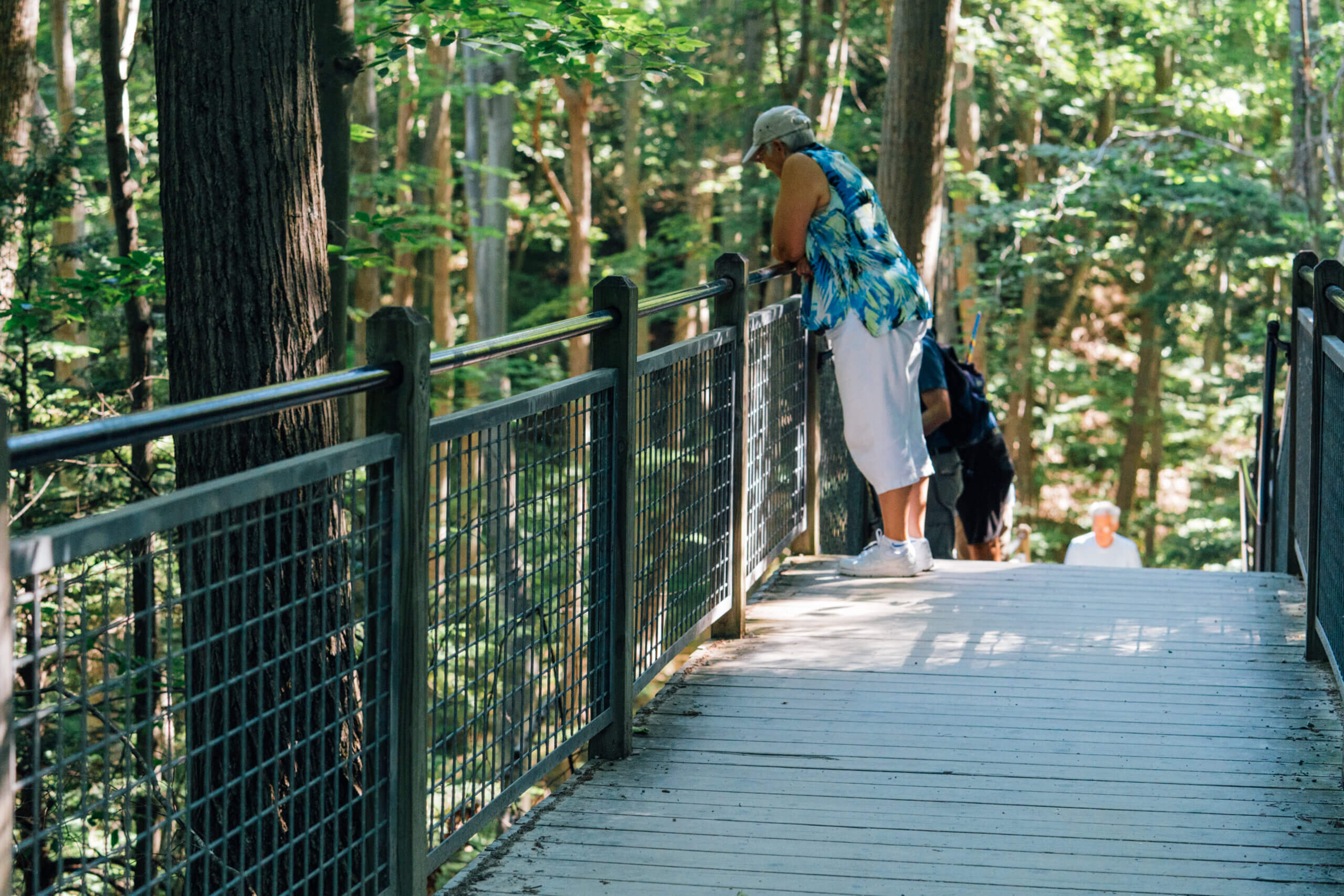 Older woman enjoys the stunning nature of Grand Haven Rosy Mound Natural Area from a bridge.