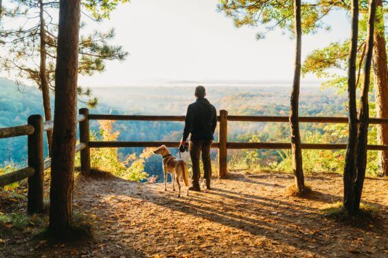 Man stands with dog at scenic overlook at sunset.