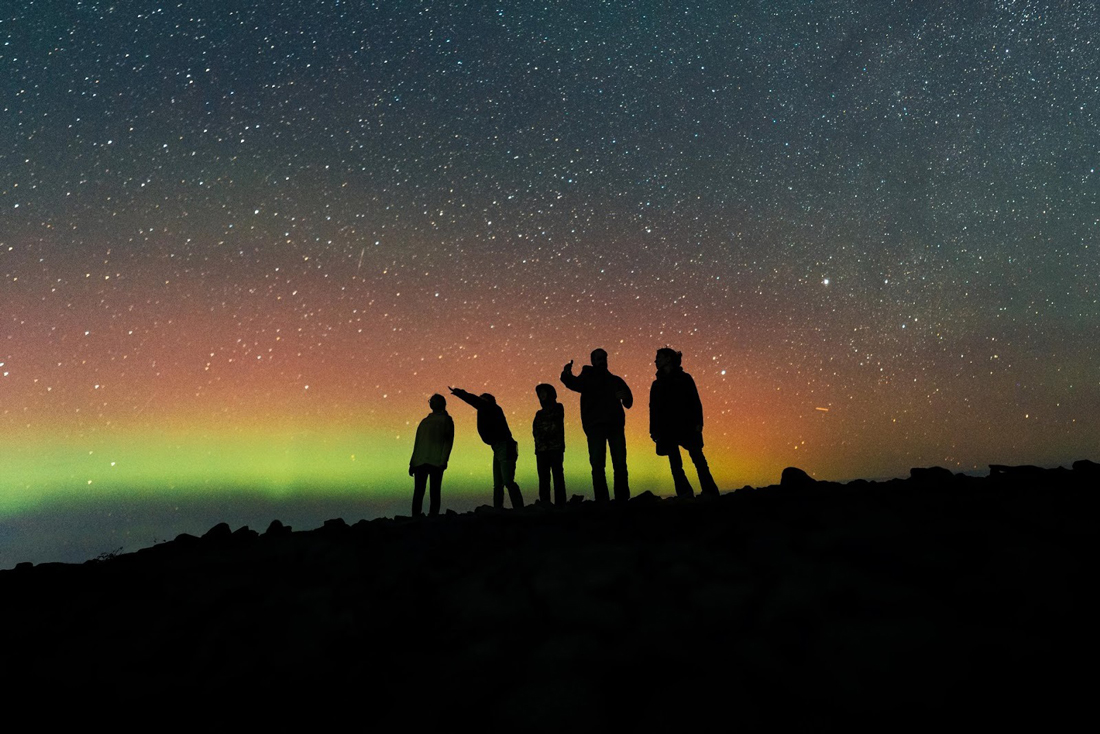 Five excited nature-lovers are silhouetted against a sky colored by the northern lights.